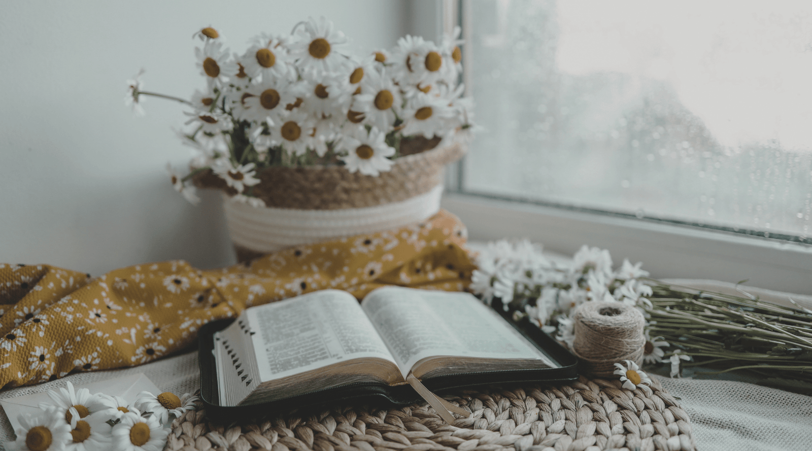 From Head Knowledge to Heart Transformation: How the Word Changes Us