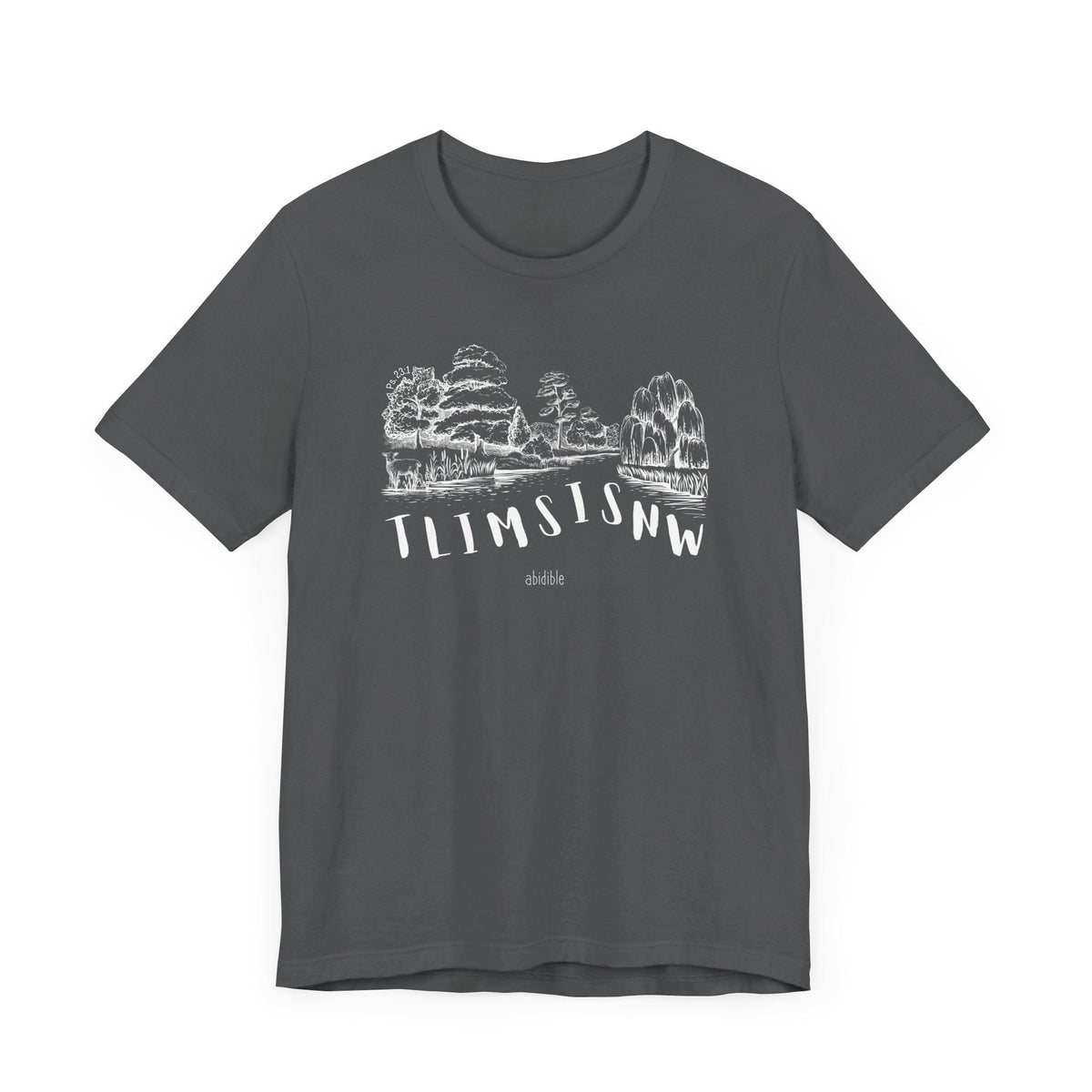 &quot;Psalm 23&quot; Unisex Unisex Bella + Canvas™ T-Shirt T-Shirt Printify Asphalt XS 