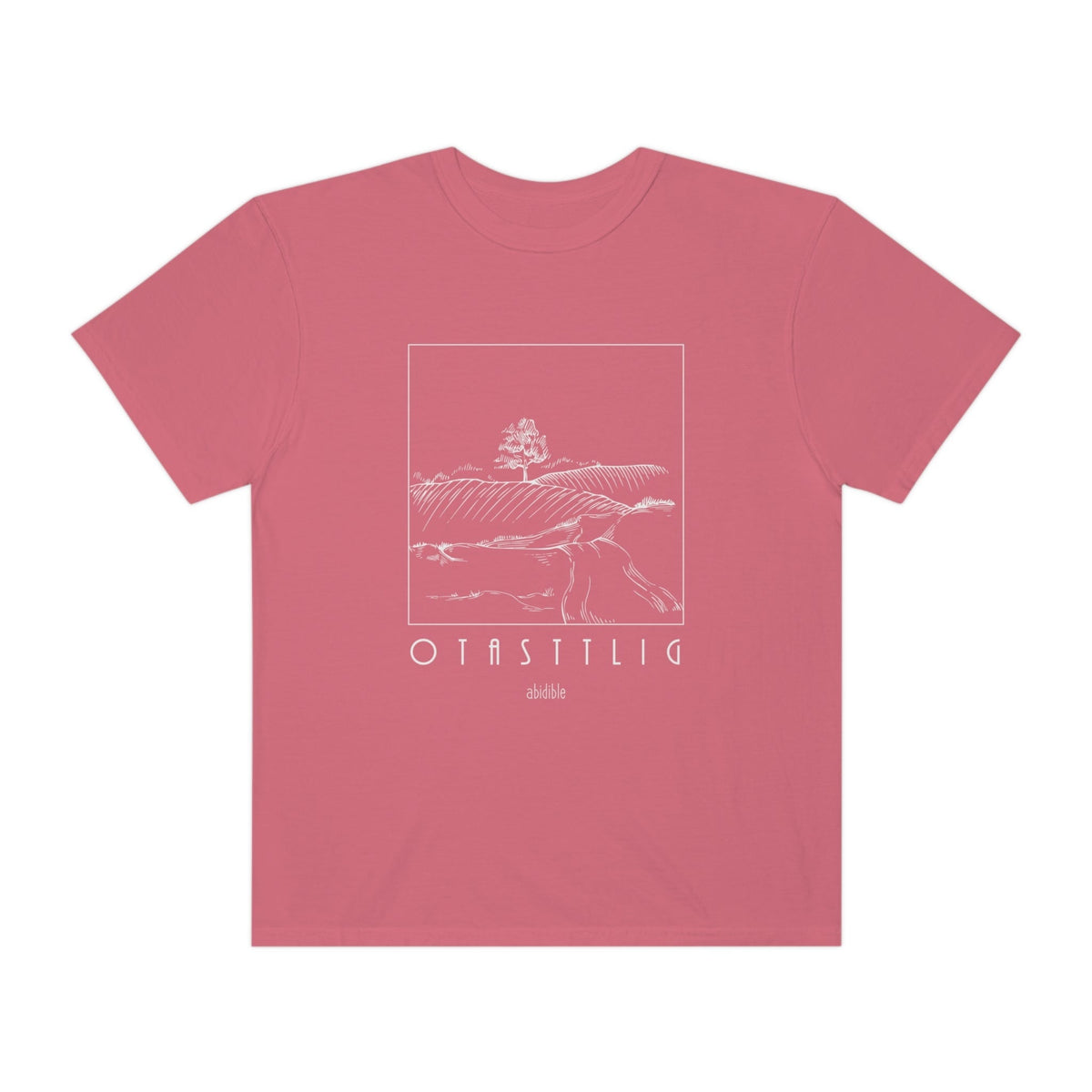 *TRIAL RUN God is Good Unisex Comfort Colors T-Shirt T-Shirt Printify Watermelon S 