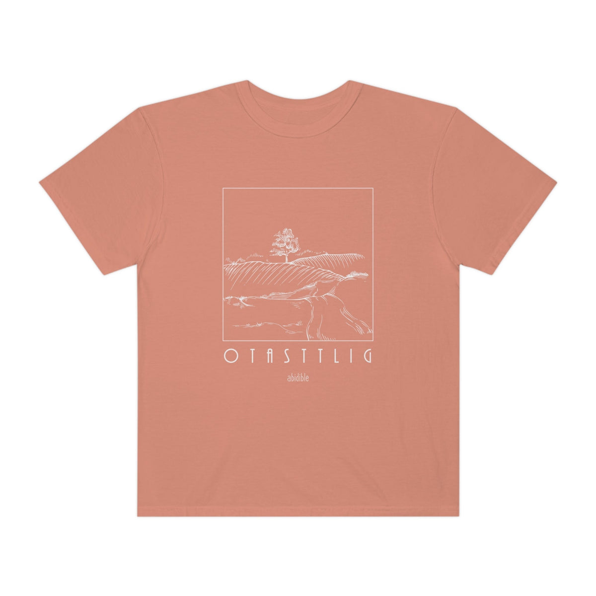 *TRIAL RUN God is Good Unisex Comfort Colors T-Shirt T-Shirt Printify Terracotta S 