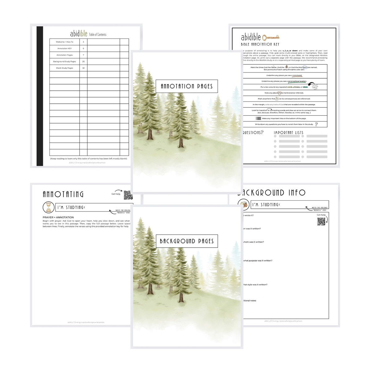 #006 Abidible Blank DIY Bible Study Journal (NEW!) Study abidible 