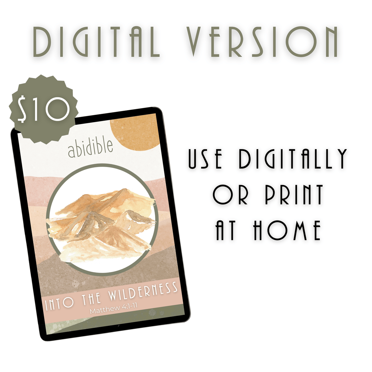 #013 Abidible &quot;Into the Wilderness&quot; Study Study abidible 