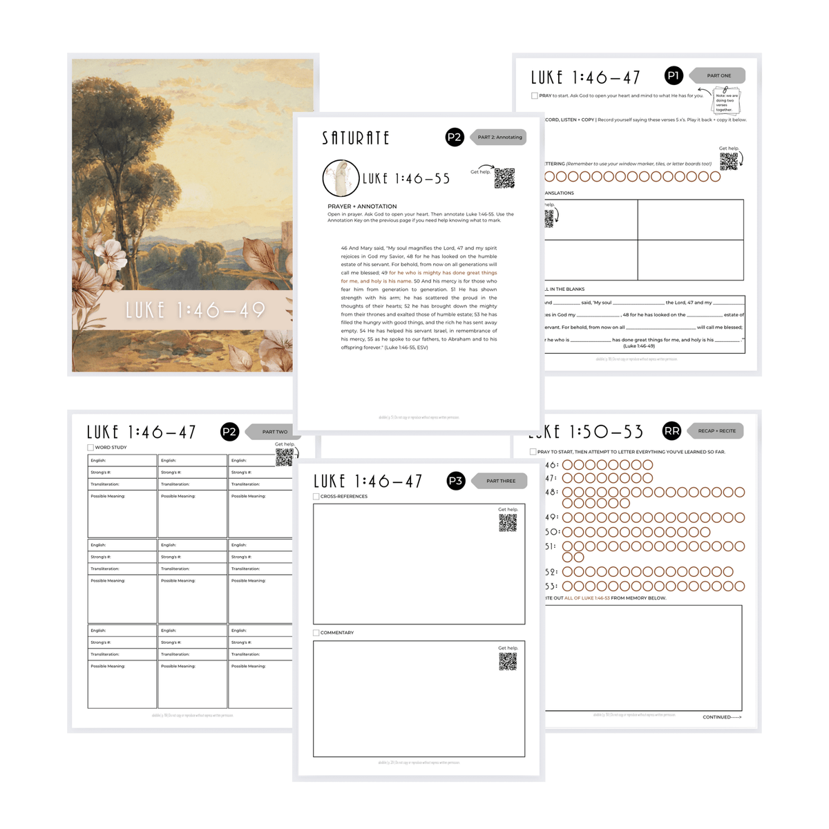 #014 Abidible &quot;Mary&#39;s Song&quot; Study Study abidible 