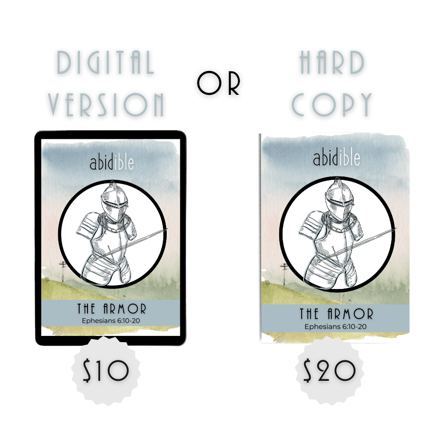 #008 Abidible &quot;The Armor&quot; Study Study abidible 